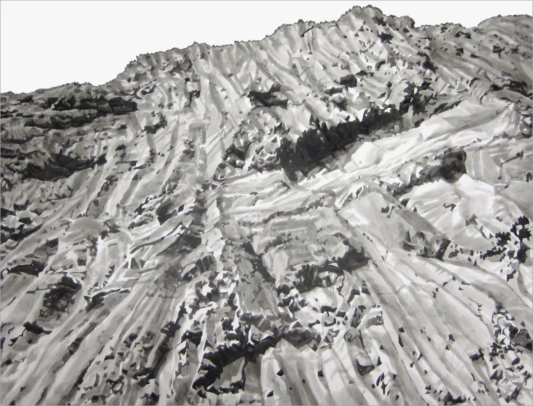 untitled (scablands), 2008, ink and pencil on wood panel, 18 x 24 in