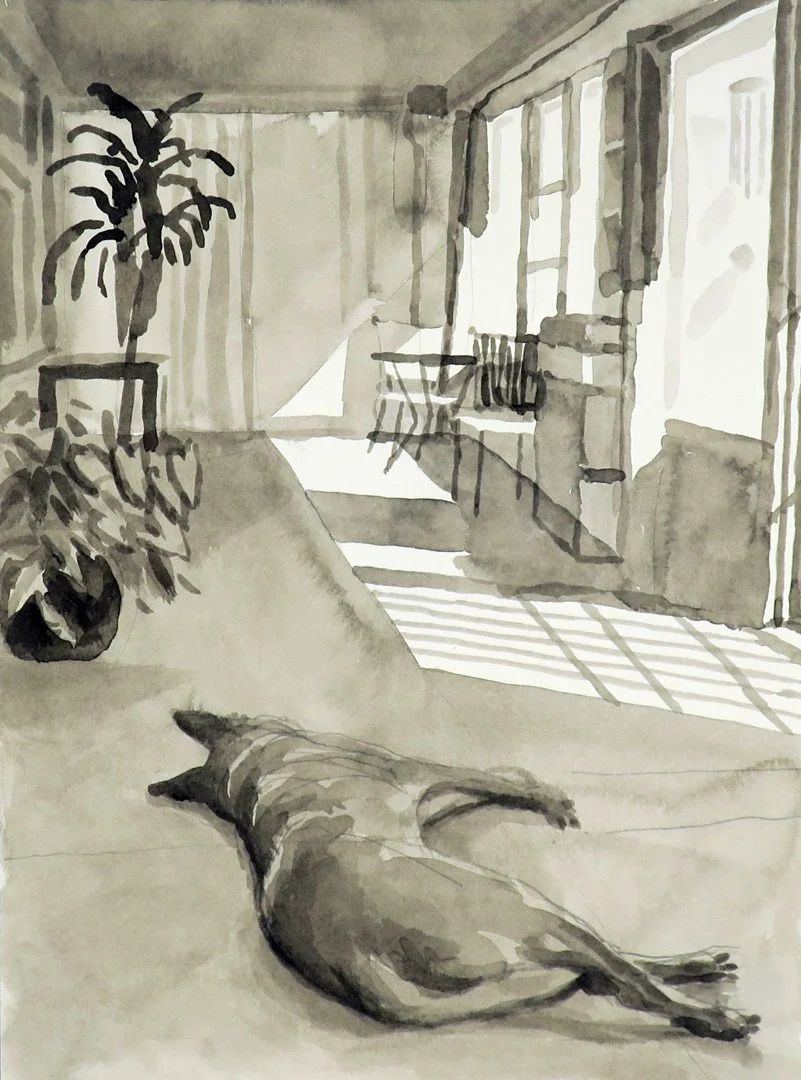 Sleeping dog, Hollywood