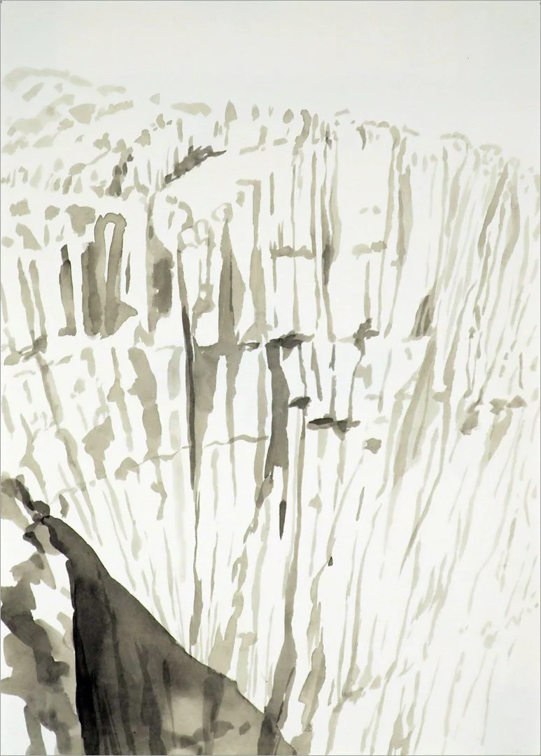 Cliff study, Palouse Falls, WA