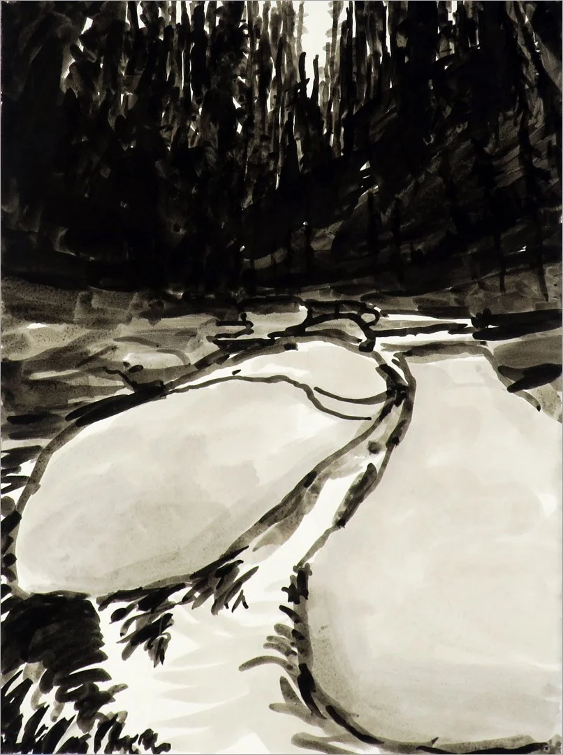 Sequoia stream at nightfall