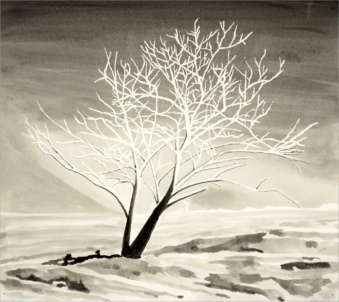 burned tree, Malheur County