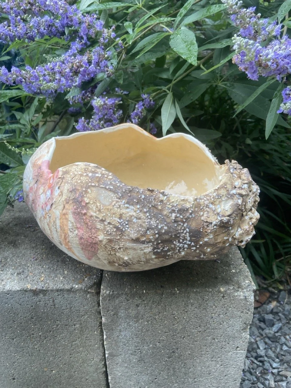 scalloped-vessel_1-3 Large.jpeg
