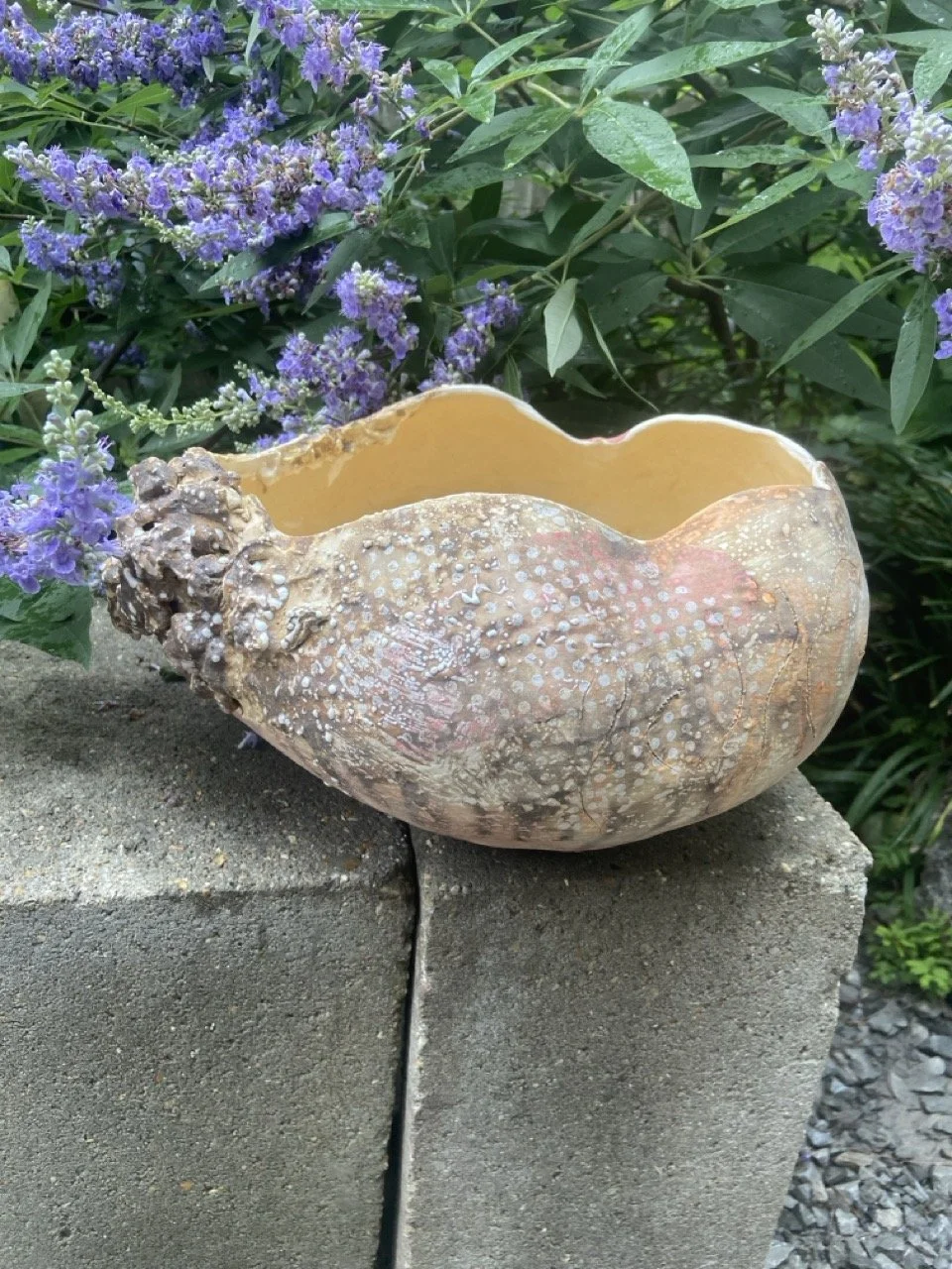 scalloped-vessel_1-1 Large.jpeg