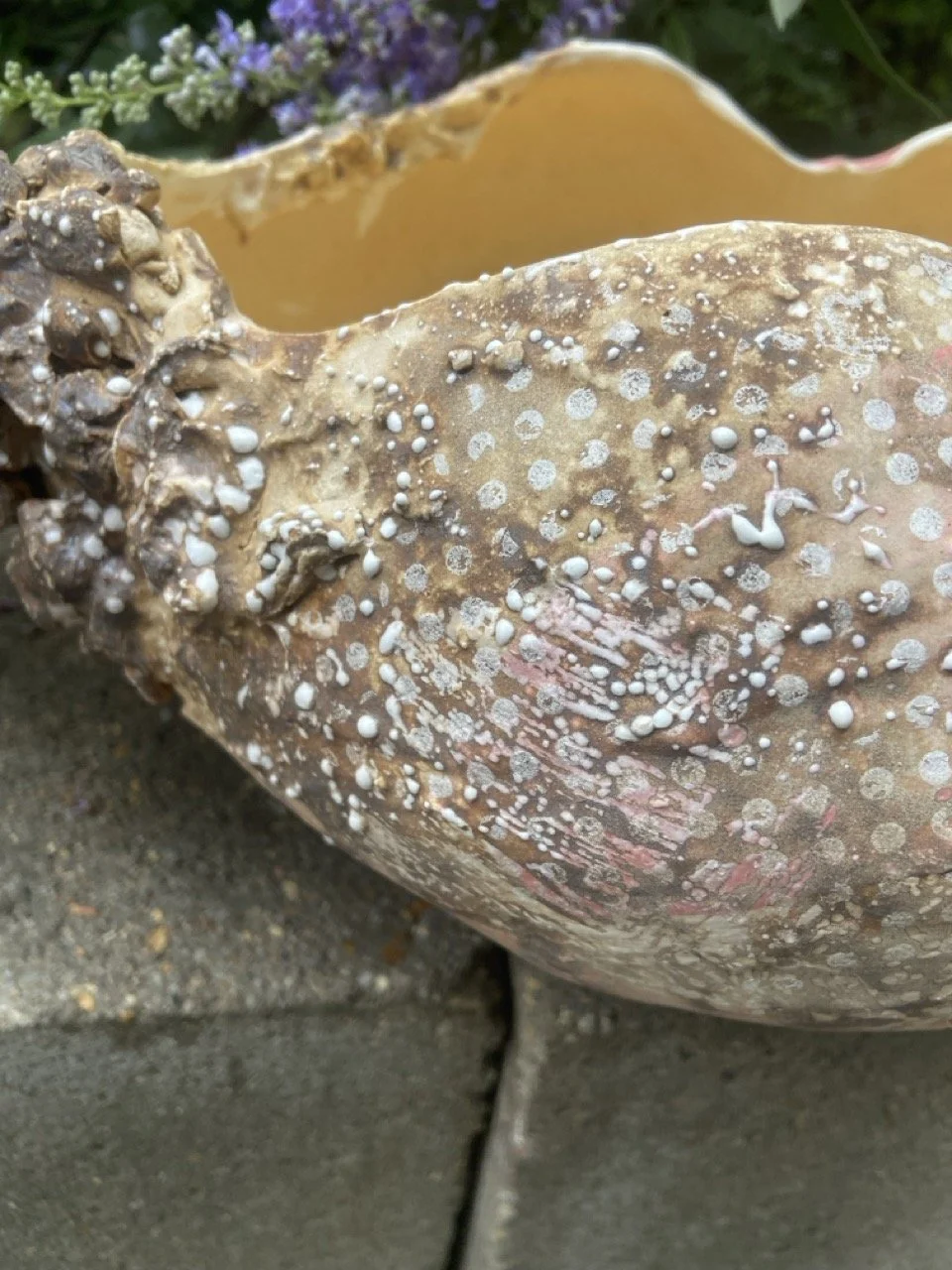 scalloped-vessel_1-2 Large.jpeg
