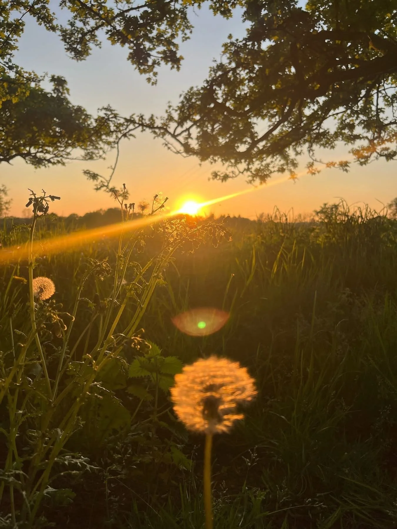 Lifecycle - Transformation