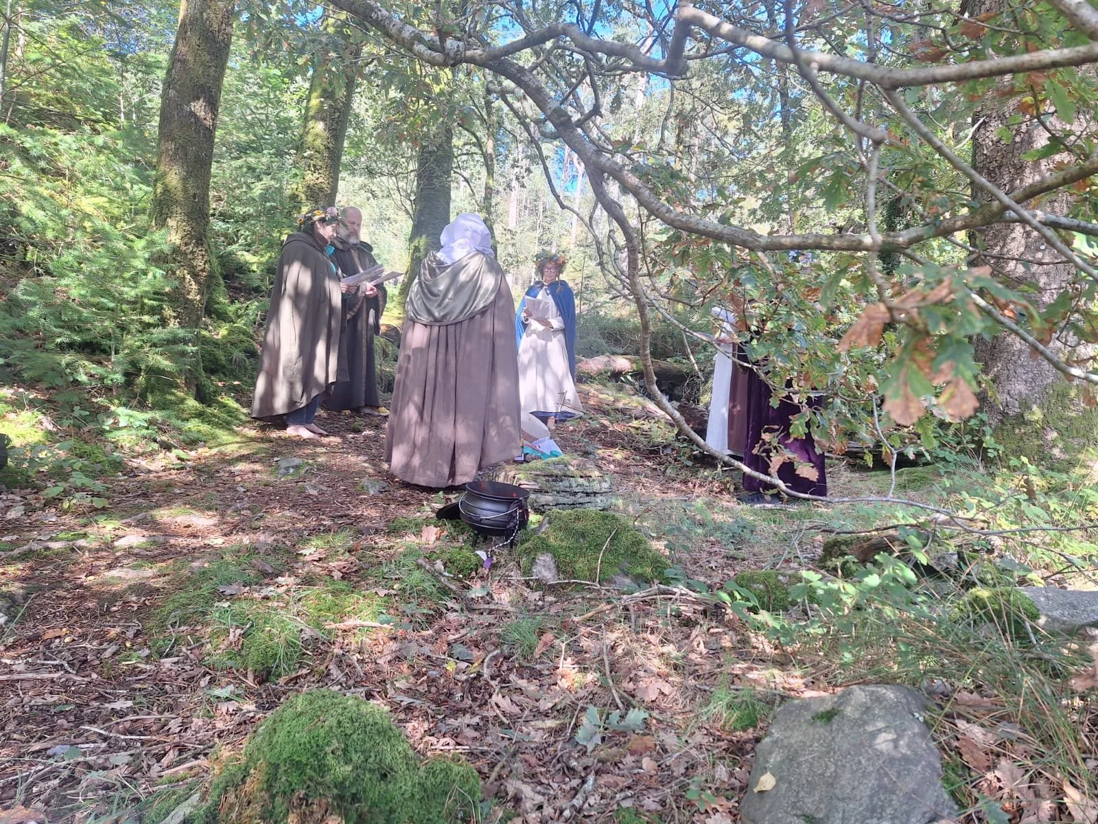 Alban Elfed & The Sacred Druids Tour 2025