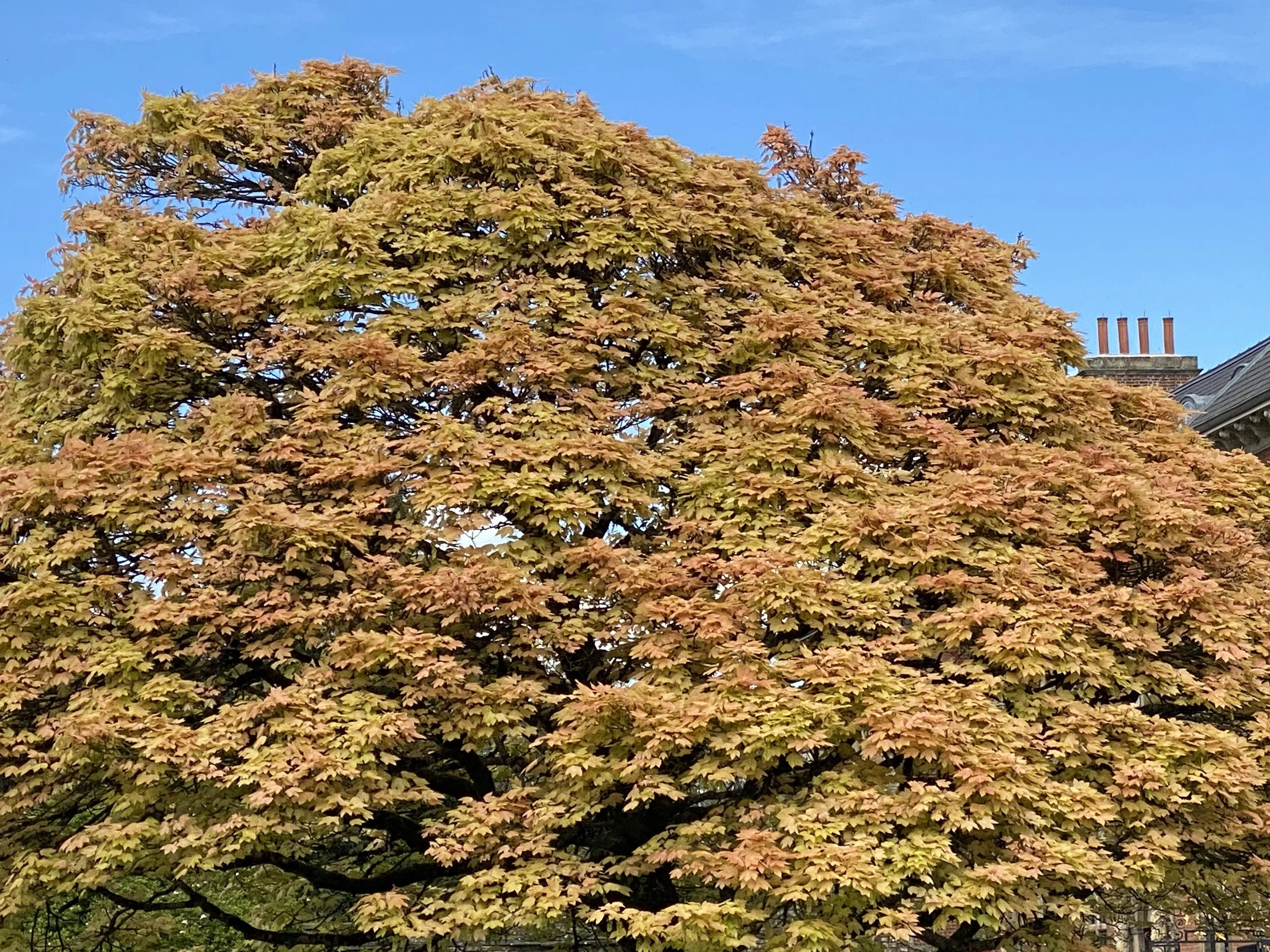 After the Autumn Equinox