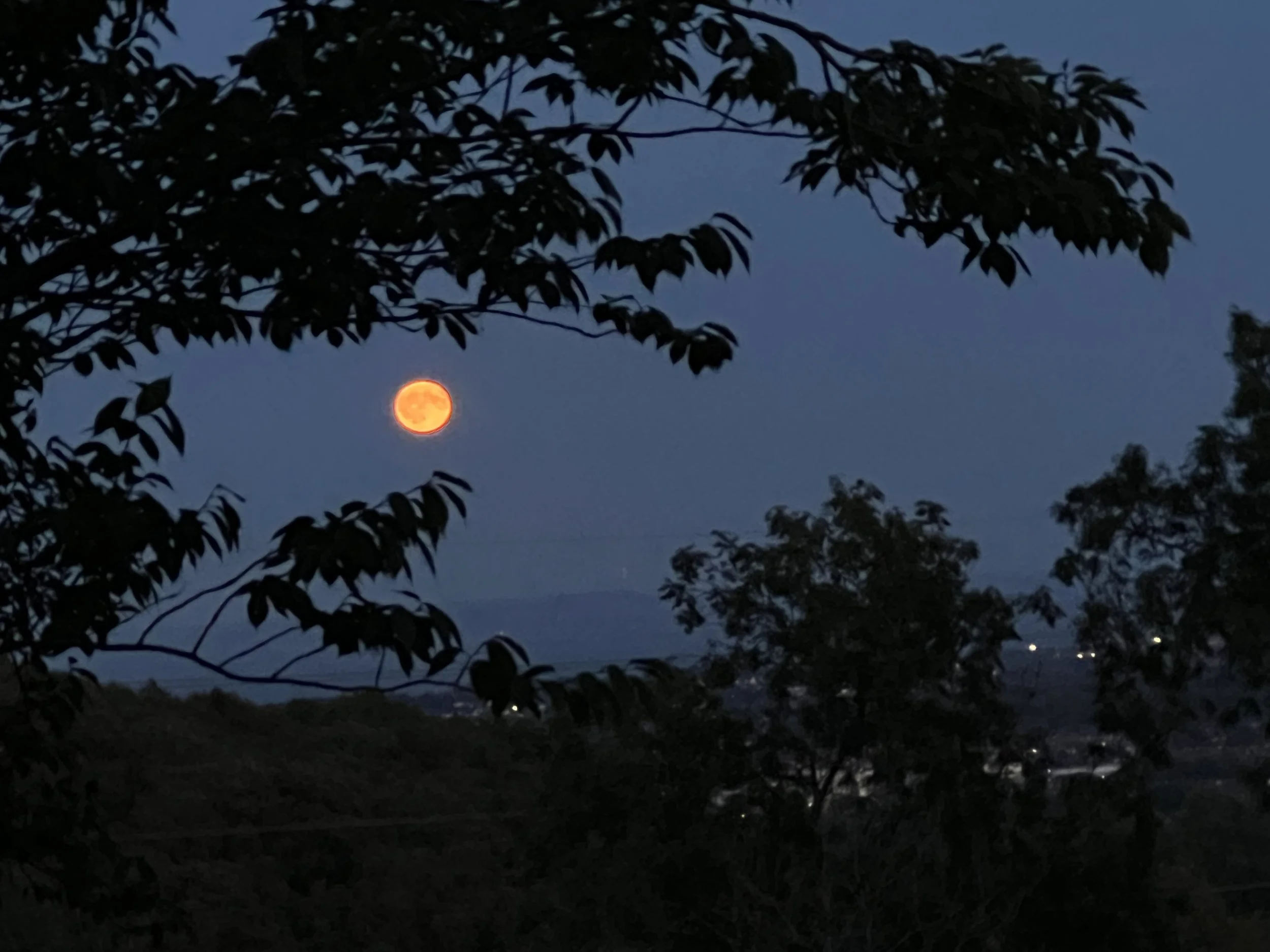 Gŵyl Awst/Lughnasadh