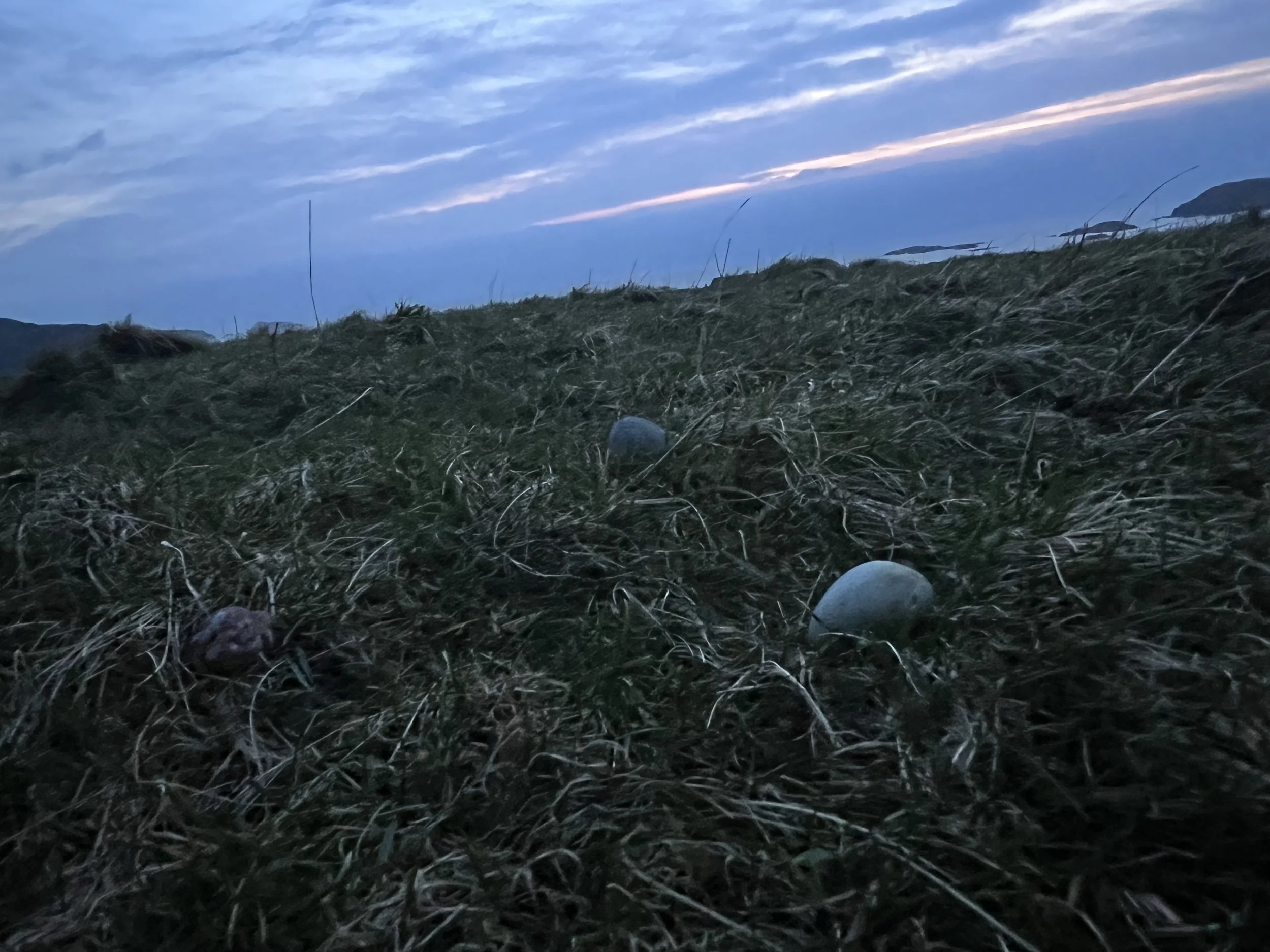 Alban Eilir/Spring Equinox - IONA