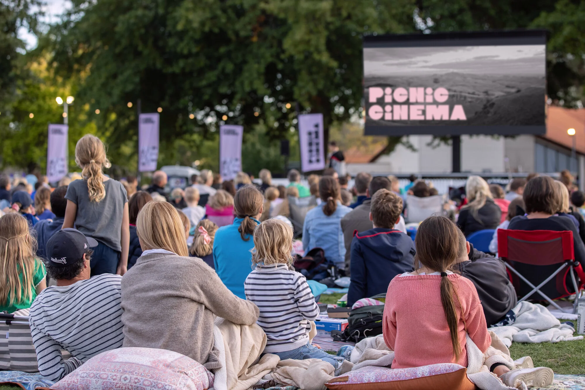 Havelock Movie Schedule — Picnic Cinema