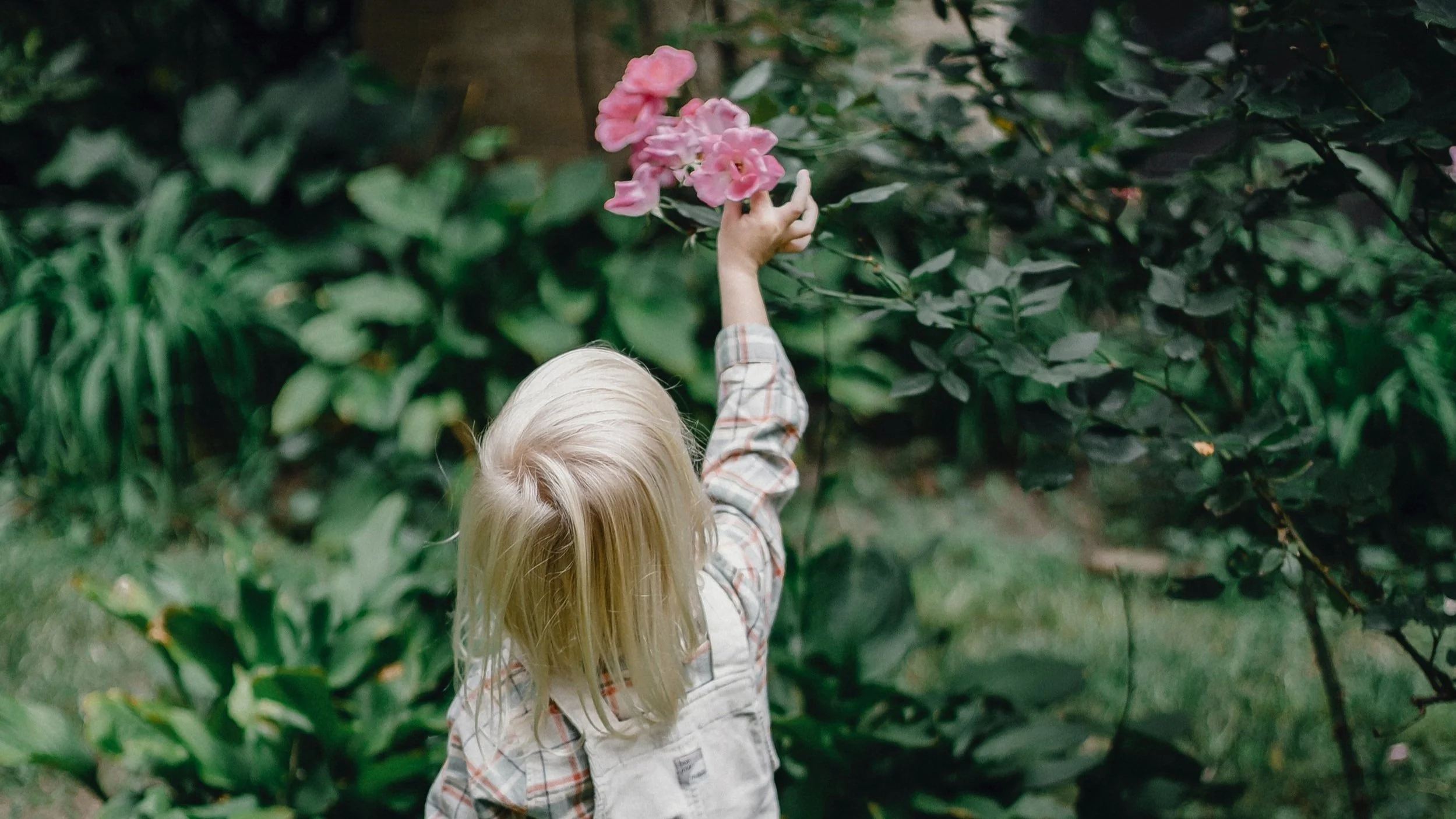 Feel the Love; Don’t Pick the Flowers