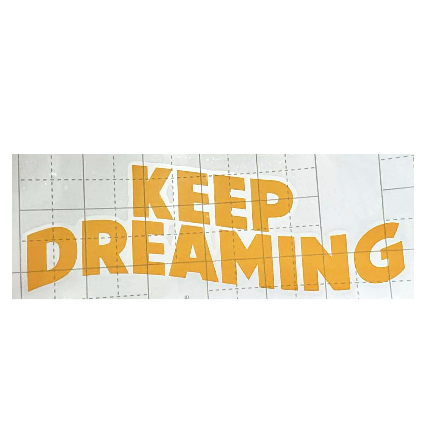 Keep Dreaming Vinyl.png