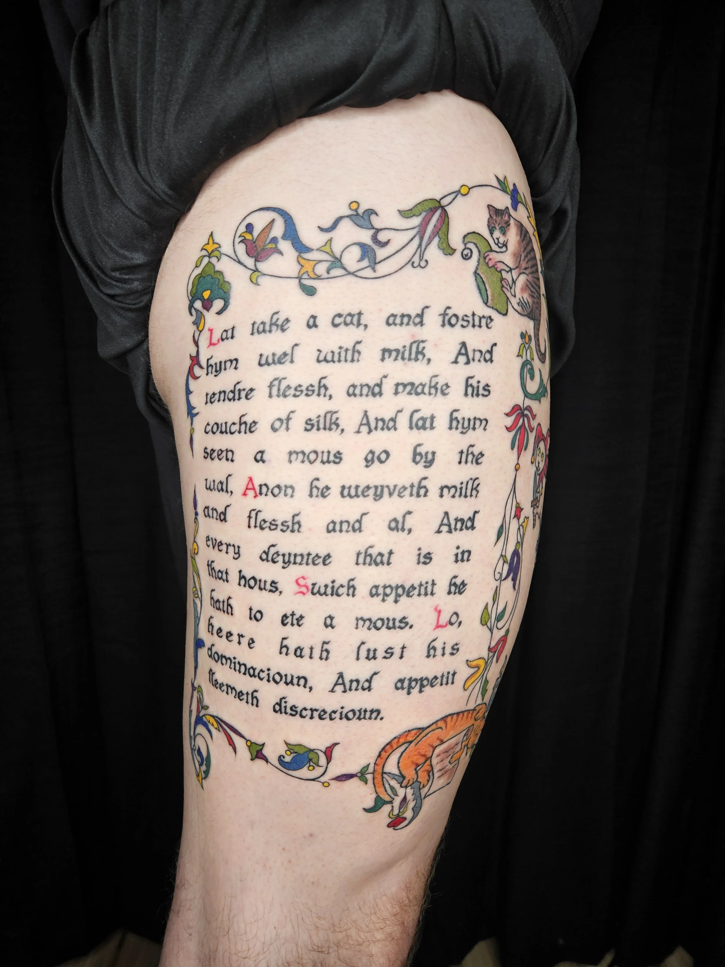 Medieval Marginalia Cats, 2025