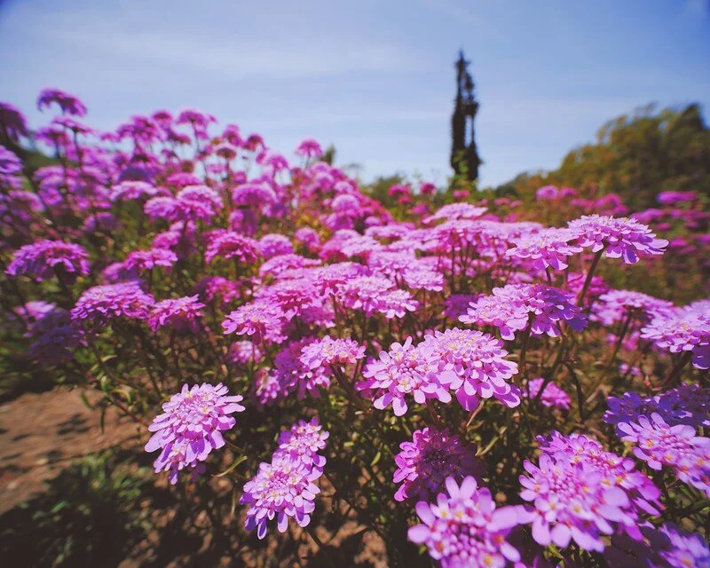 The rest of the album can be seen here.