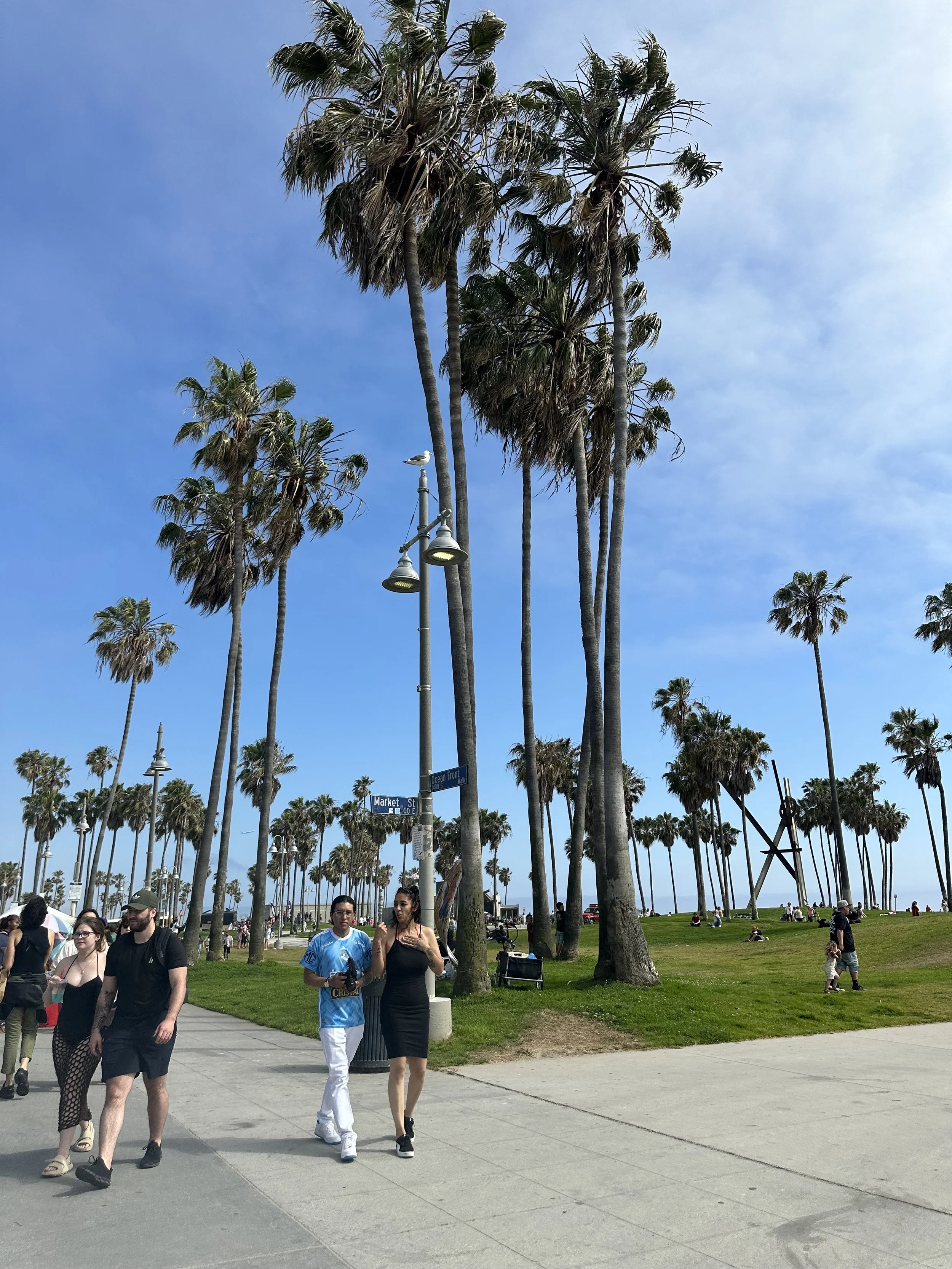 IMG_1619.jpeg