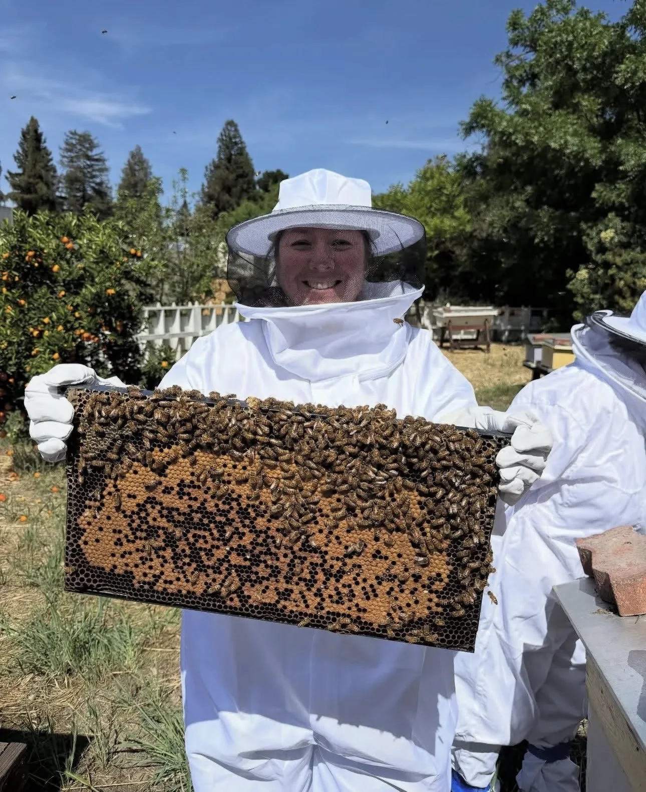 A Taste of Honey: La Mesa Verde Learns Bee Basics at History Park