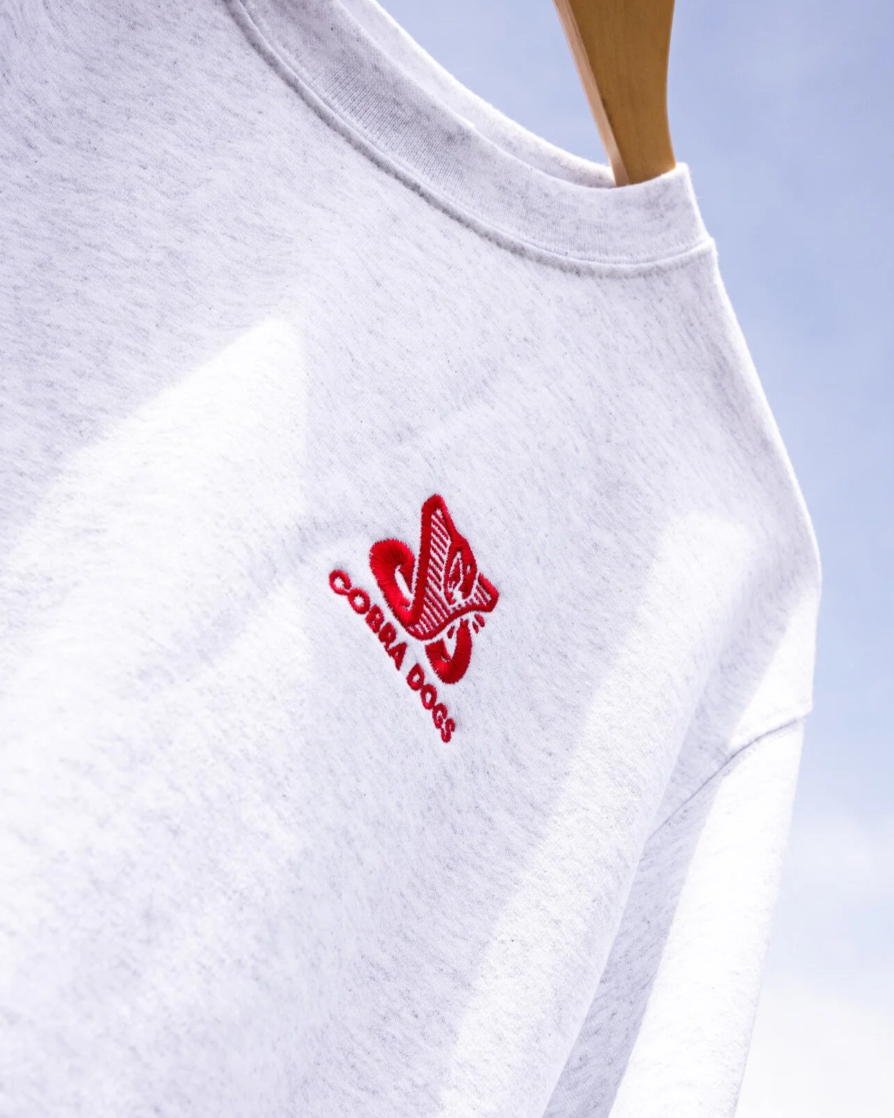 528E3E9D-BB65-40DB-A00F-09058B71BB2A