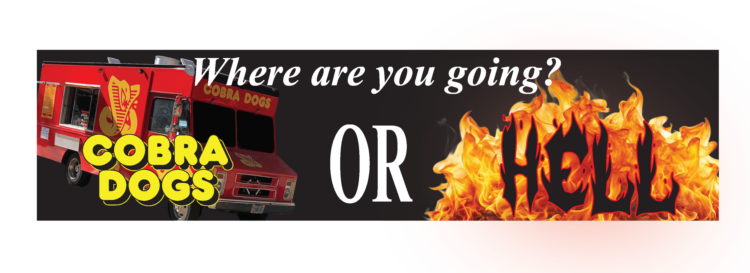 Bumper 7.png