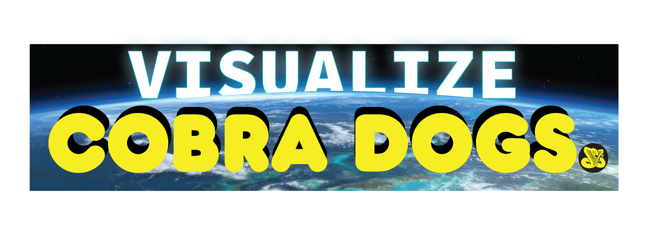 Bumper 5.png