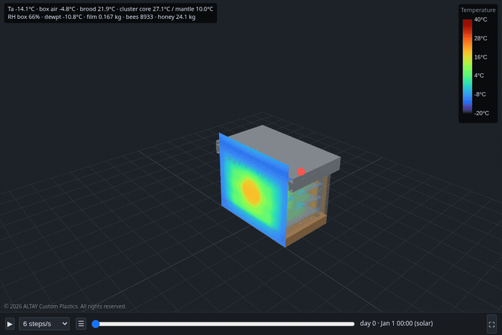 Four-second loop of the simulated hive cross-section from winter through summer and back