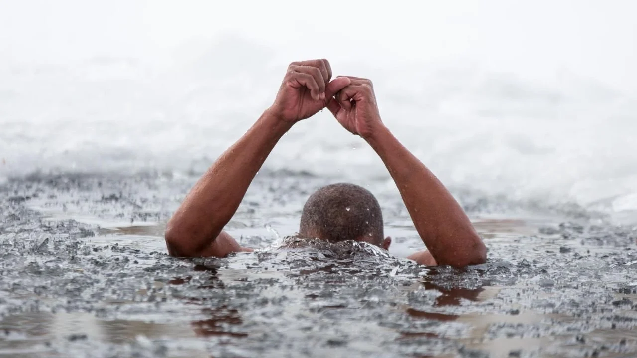 How To Make A Chest Freezer Ice Bath At Home Cold Plunge DIY