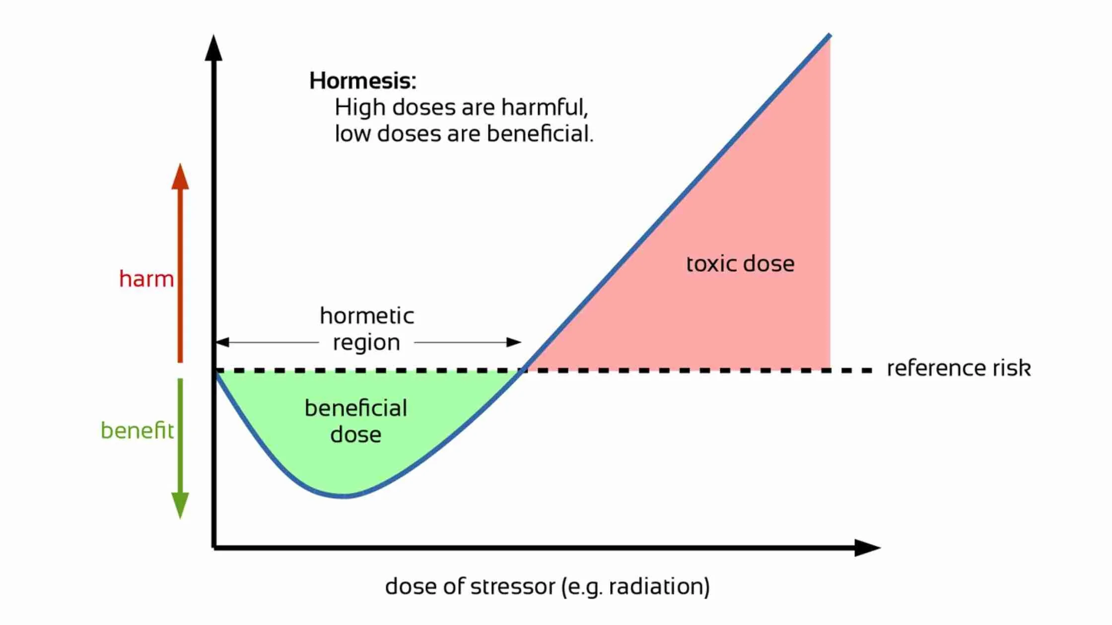 How Long and How Hot Should Your Sauna Be? Heat Therapy Basics Based on