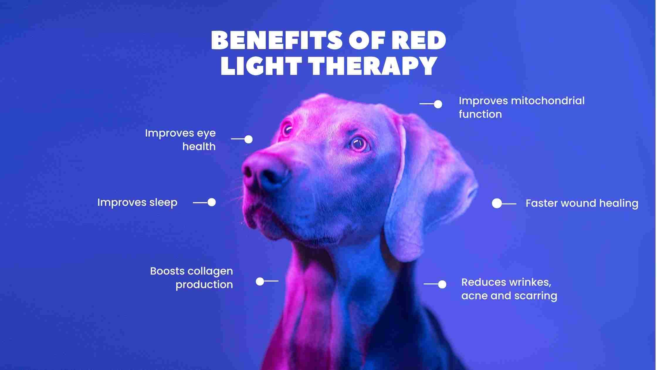Using Sunlight, Blue Light and Red Light Therapy Devices To Optimise