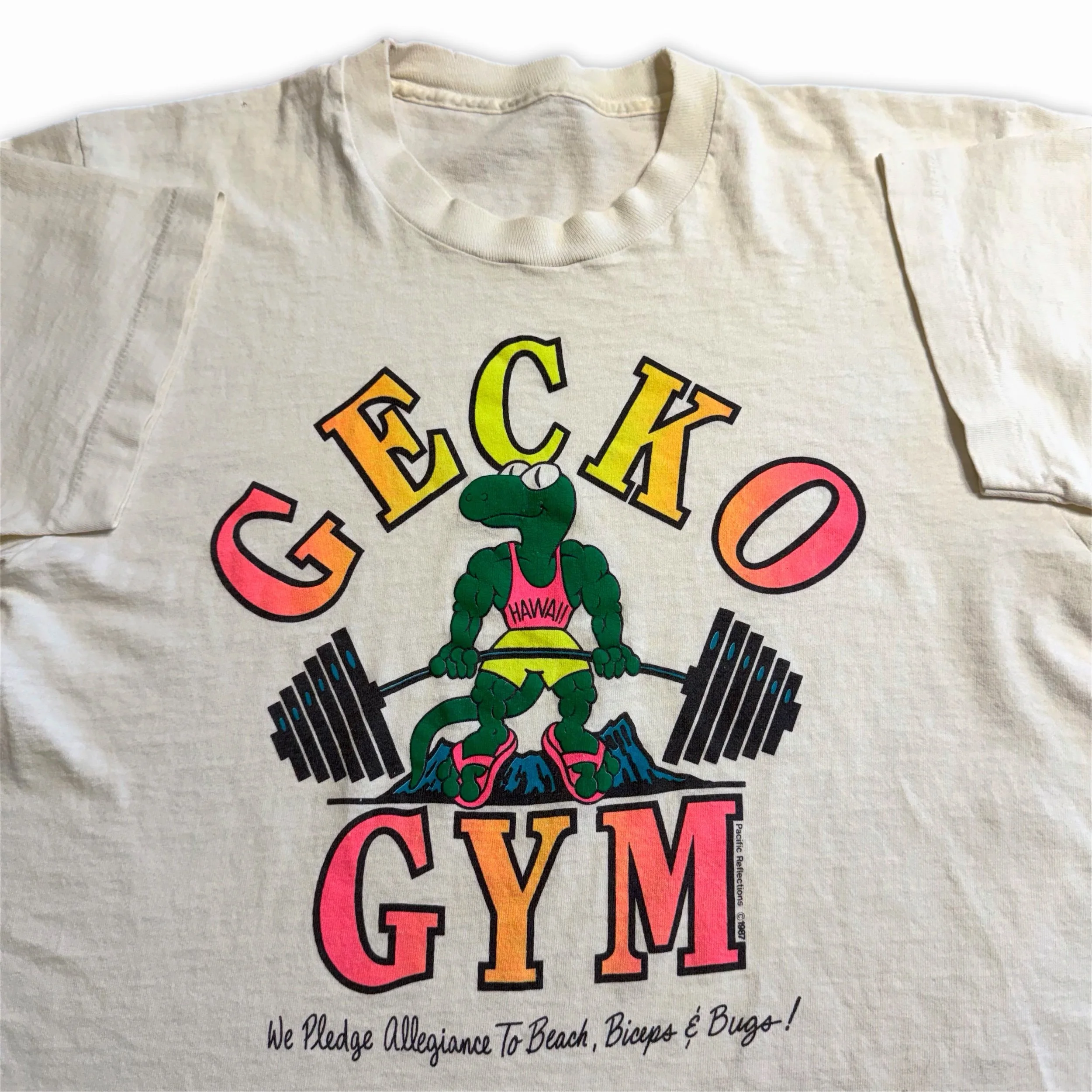 gecko gym • medium