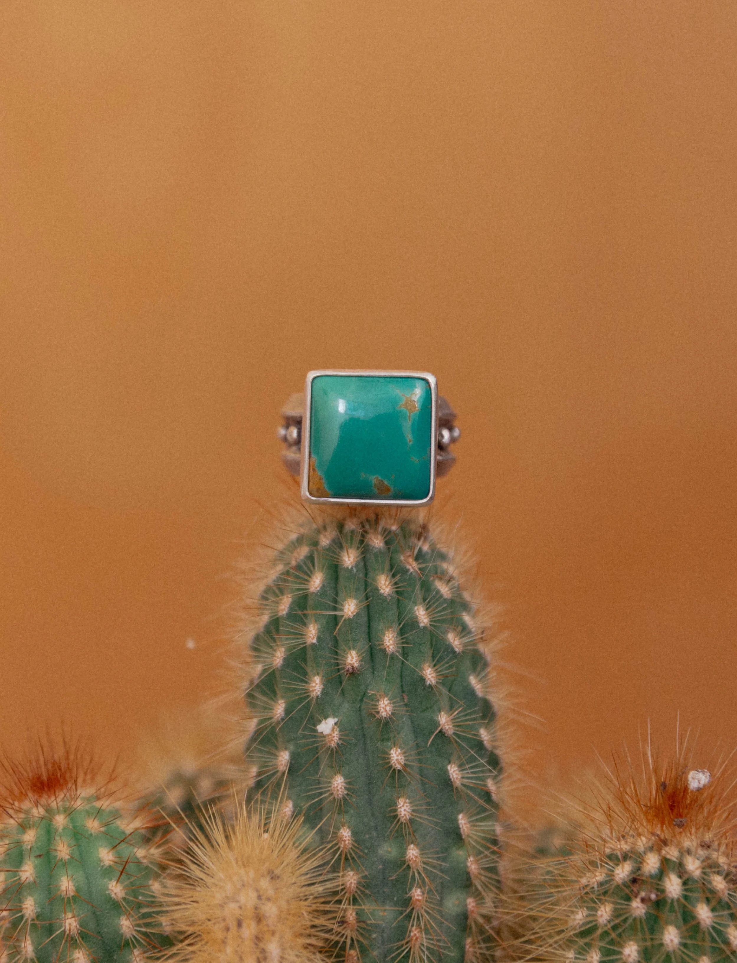 The Big Sexy (size 7.25)