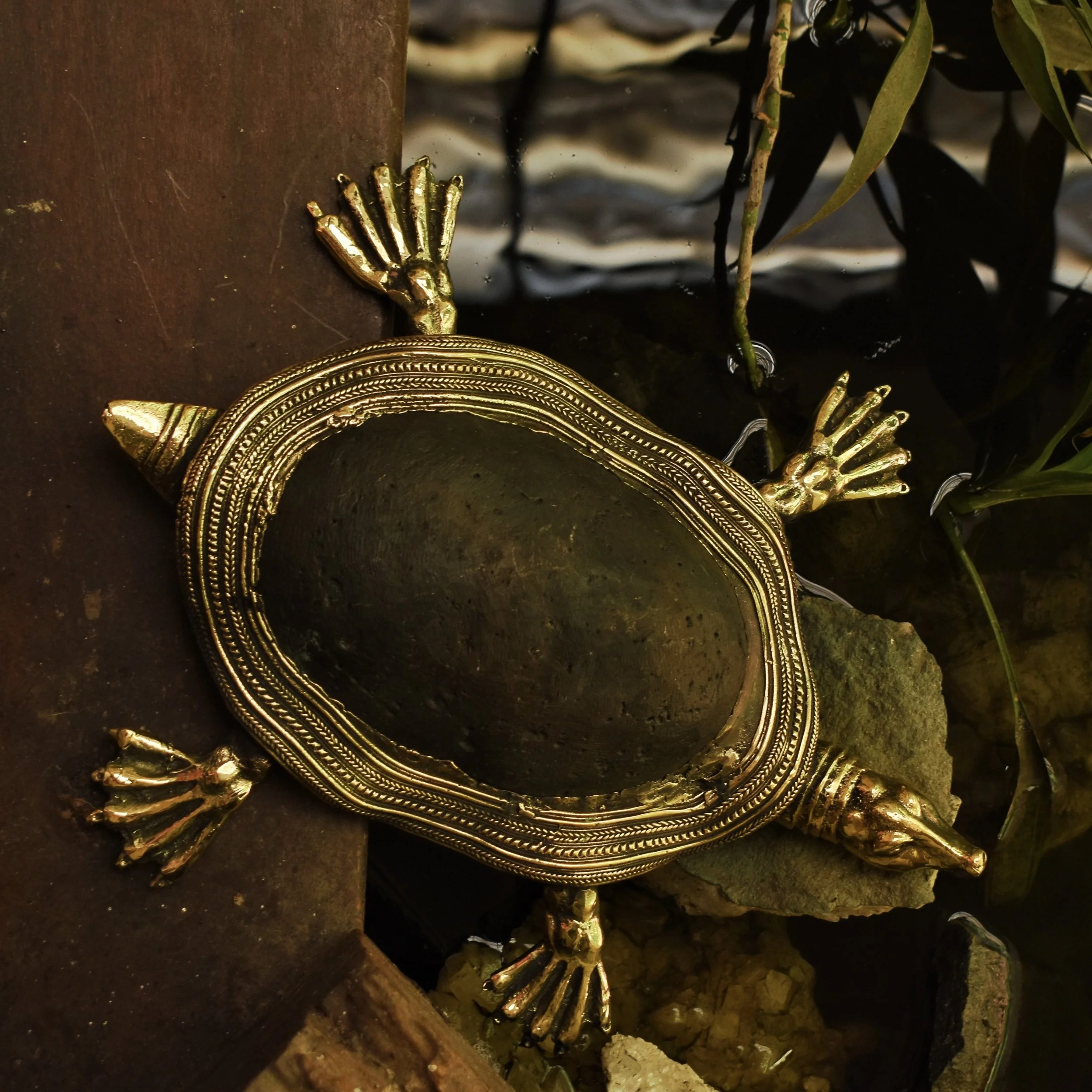 Rock Dhokra.JPG