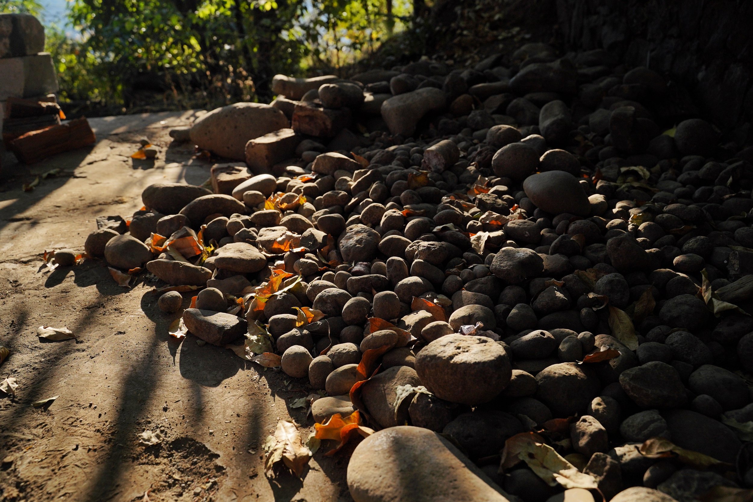 DSC08096-01.jpeg
