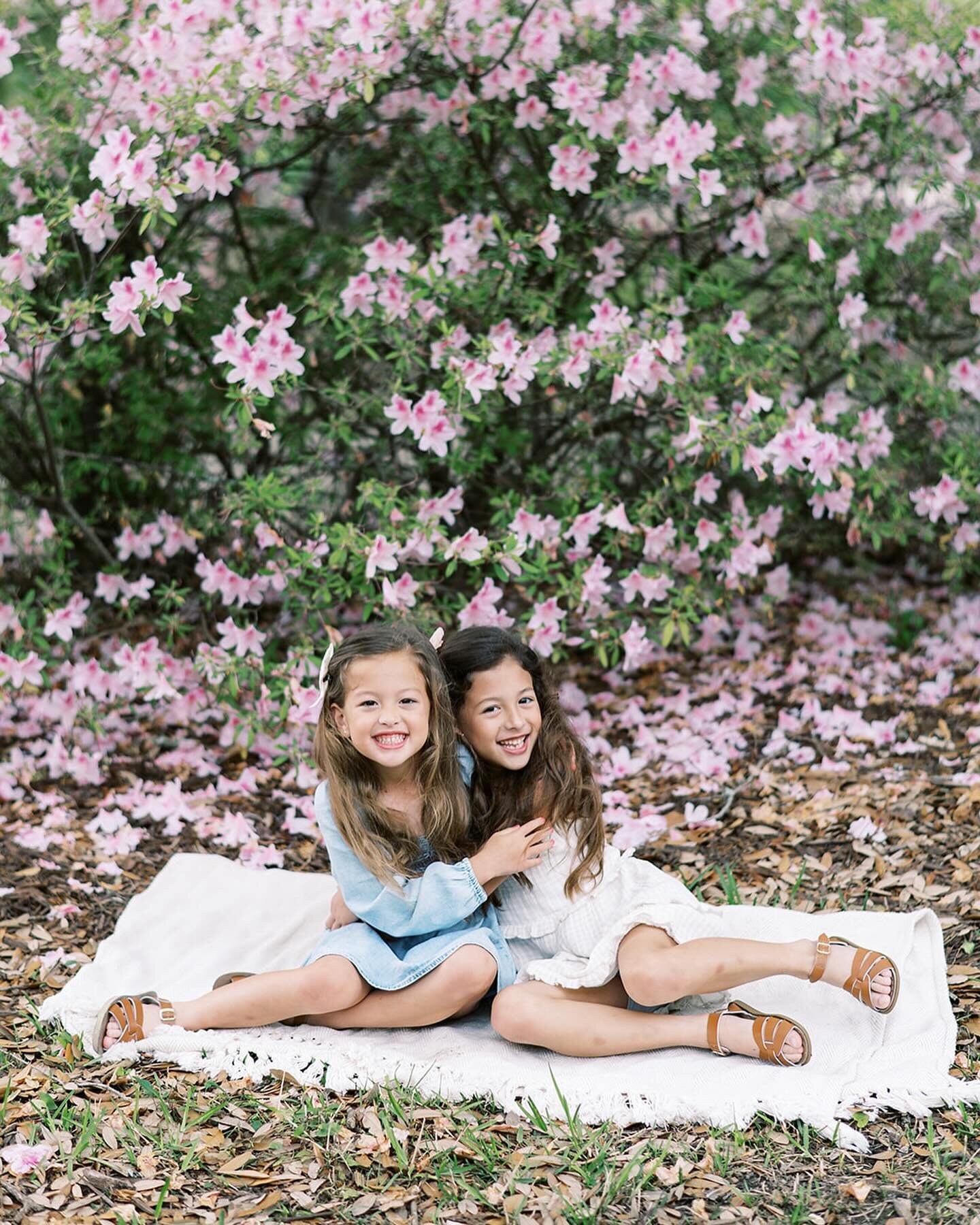 loved getting these sweet sisters back in front of my camera for some spring pictures this week ☺️ 

#taylorhubbsfamilies #thatlacommunity #batonrougefamilyphotographer #batonrougechildrenphotographer #batonrougenewbornphotographer #batonrougematerni