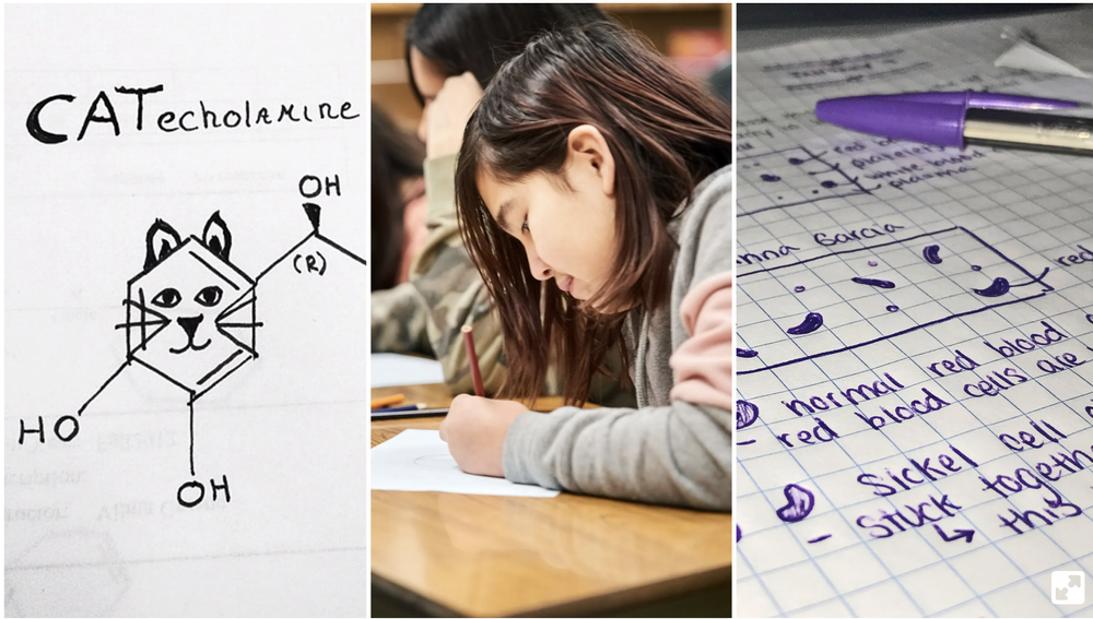 Theguide Notes A Comprehensive Guide to Guided Notes — Modern Classrooms Project