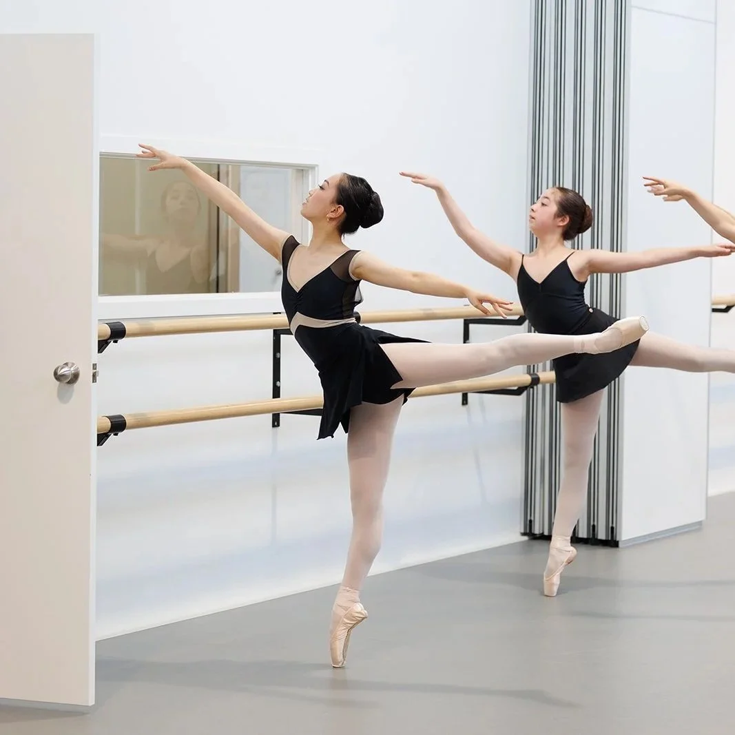 2027 DMI Auckland Summer Seminars - Classical Stream