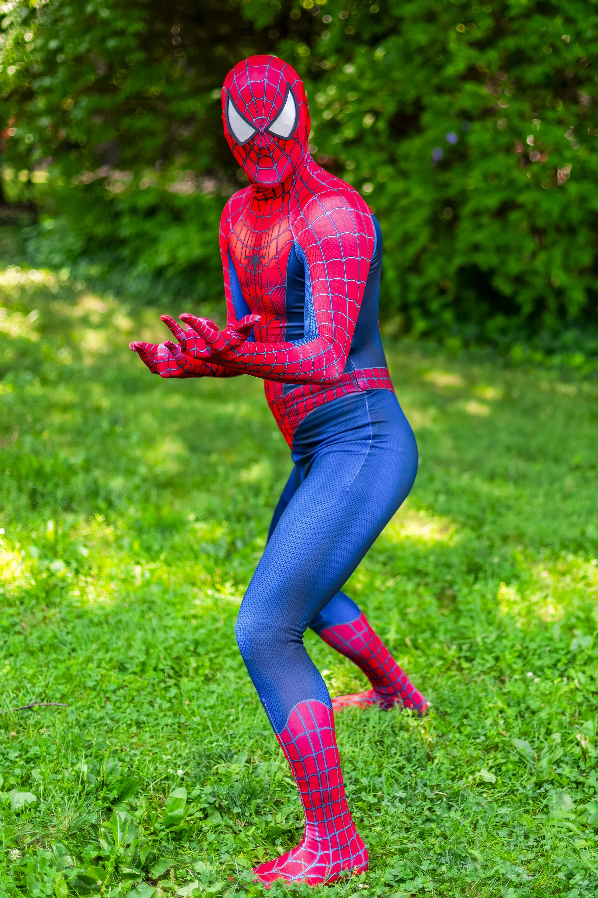 Spider Man Spider-Man Spidey