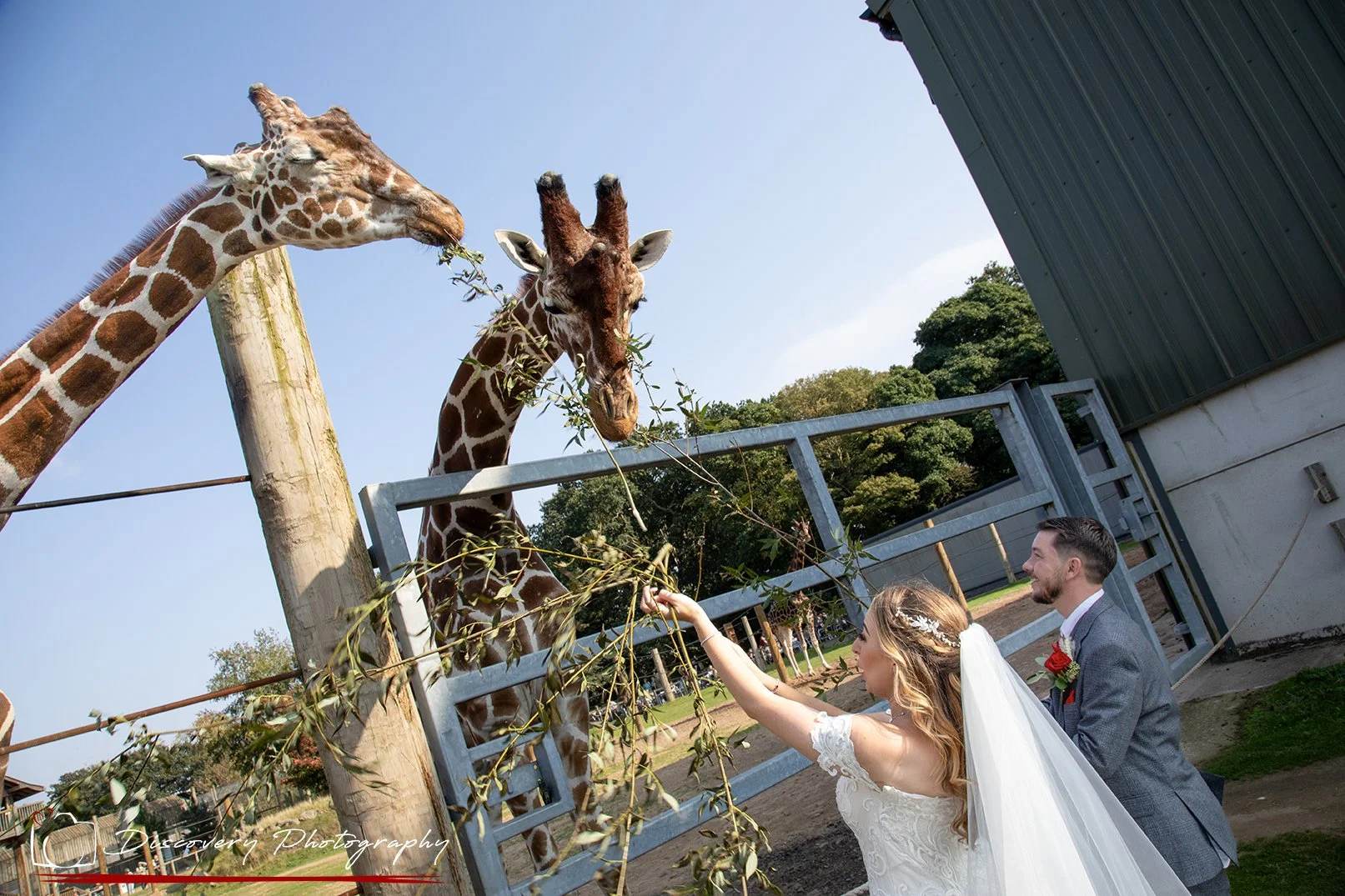 Yorkshire wildlife park wedding photographers.jpg