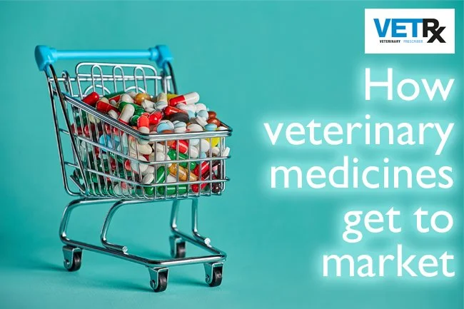 shopping trolley full of coloured medicine capsules with the caption How veterinary medicines get to markeet and the Veterinary Prescriber logo