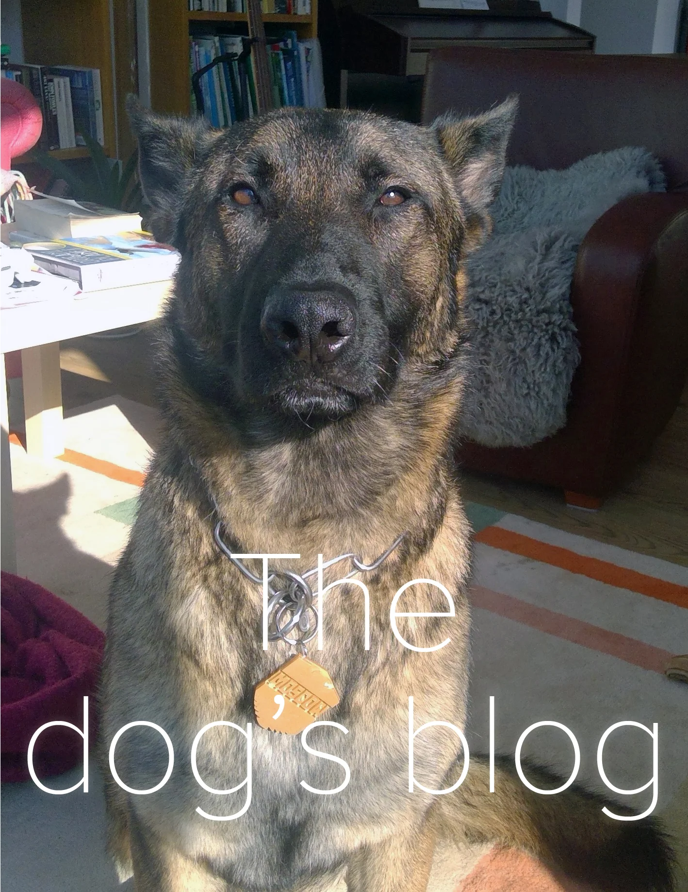  Obesity and&nbsp;antibiotic use