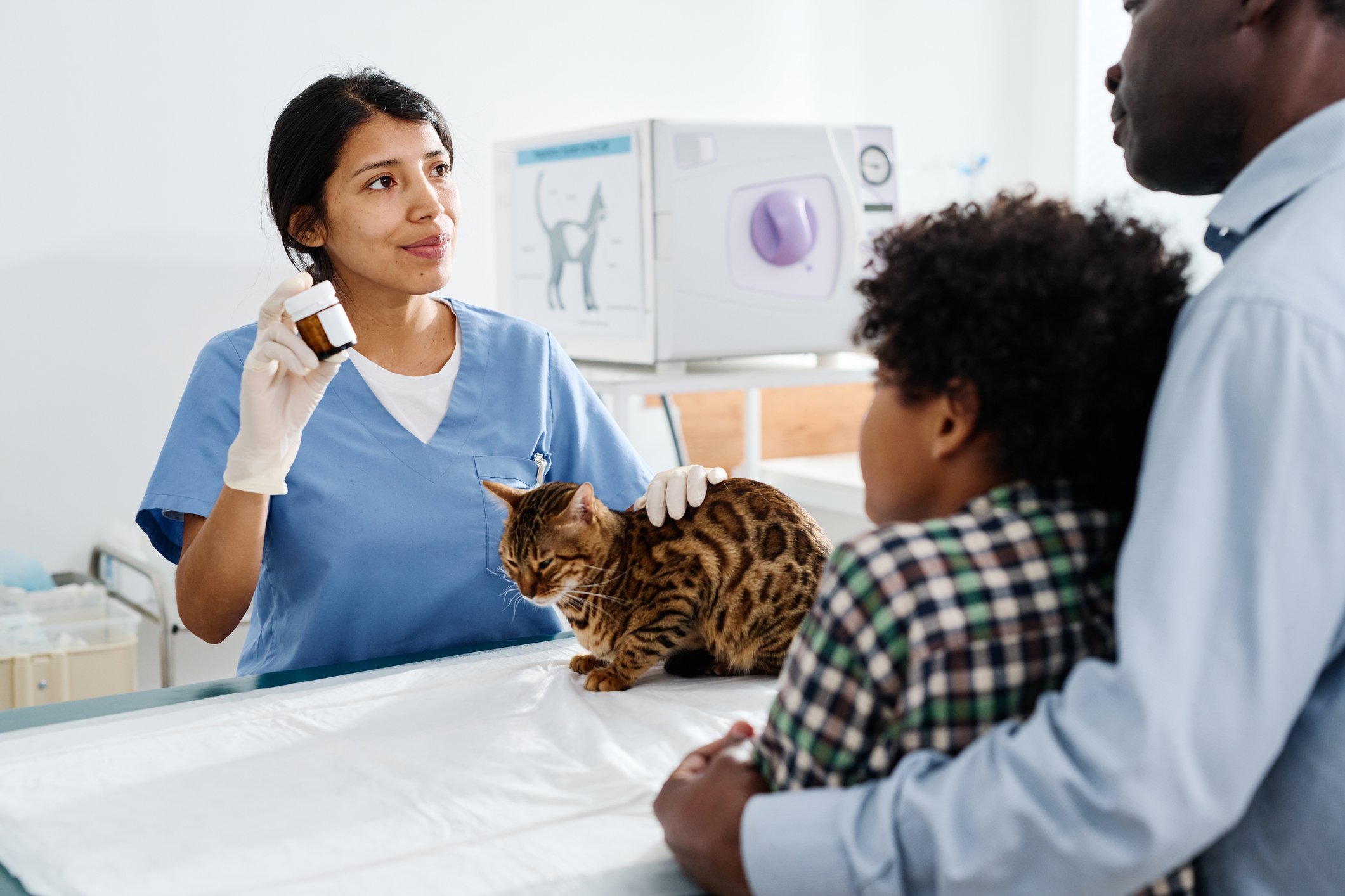 Doctor-Telling-How-To-Treat-Cat-1405550204_2125x1416.jpeg