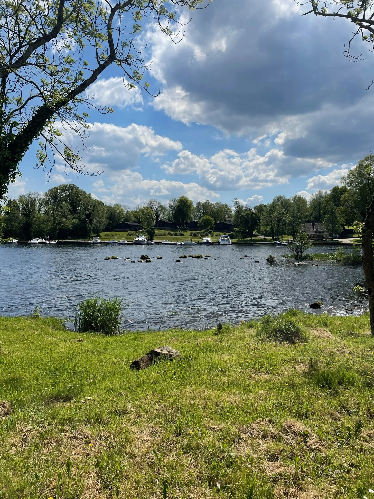 View of Lough Erne with Boats Moored at Lusty Beg Island Resort, Kesh, Fermanagh