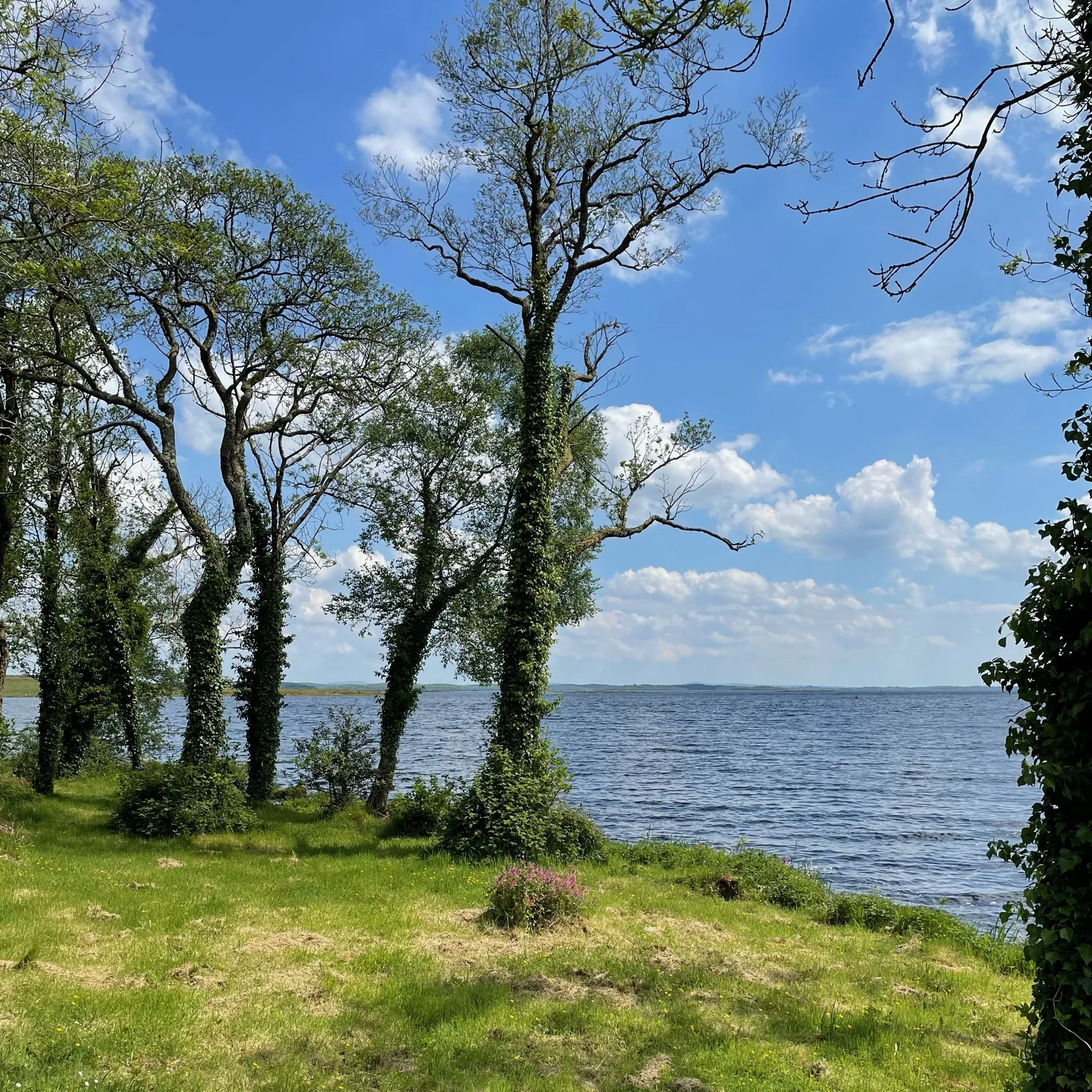 Island view of Lough Erne from Lusty Beg Island Resort with trees and bright blue sky.