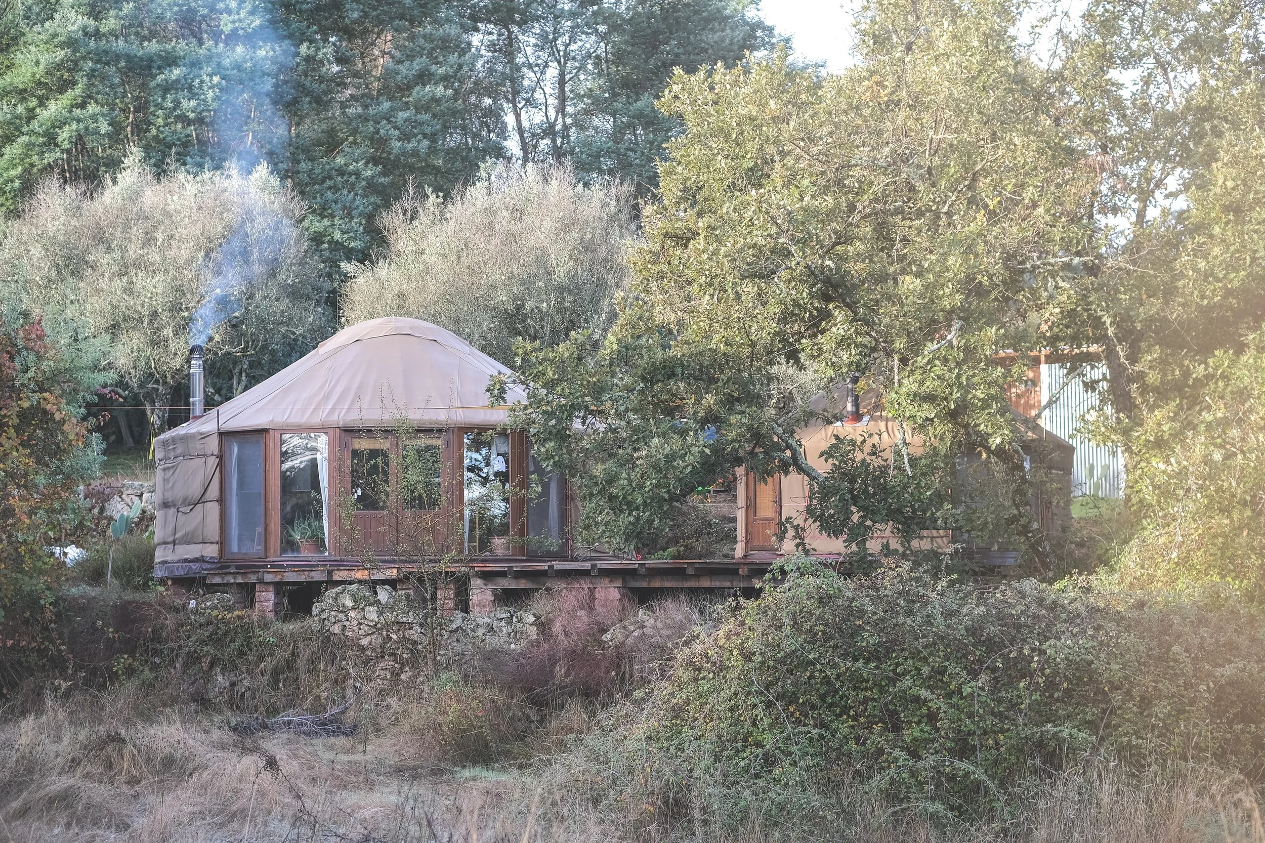 5 konkrete Schritte im Aussen für mehr Ruhe in deinem Alltag