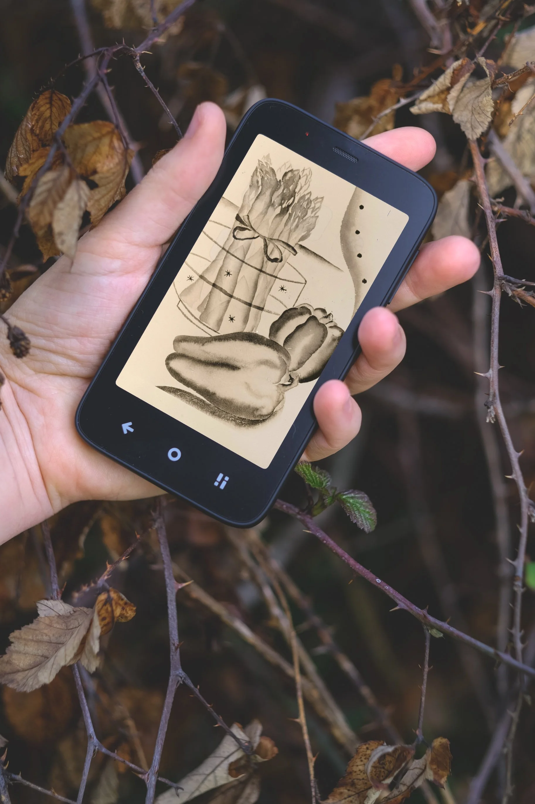 Bye Bye Social Media und Smartphone