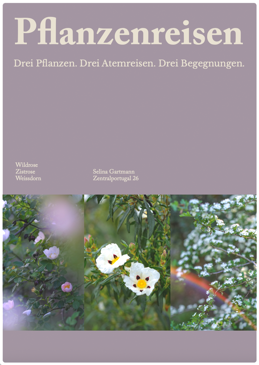 Cover Kopie.png