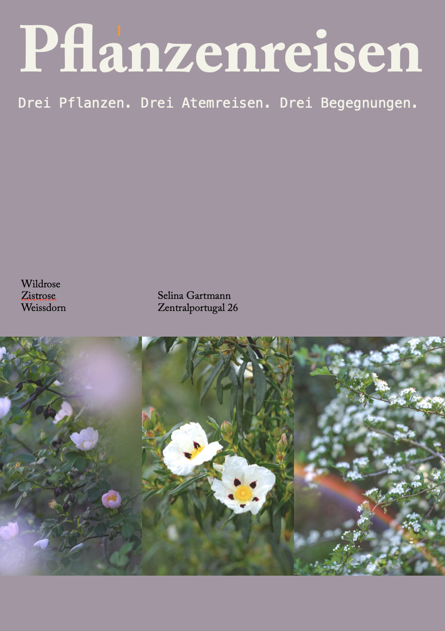 Pflanzereisen2.png