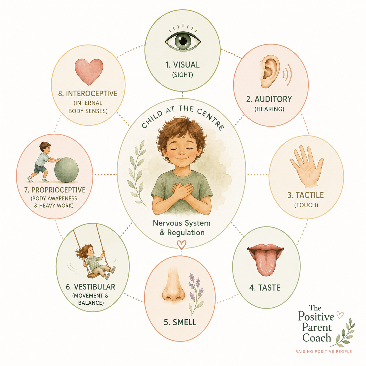 Understanding Your Child Through the 8 Senses: The Missing Piece Behind Behaviour, Emotions and Regulation
