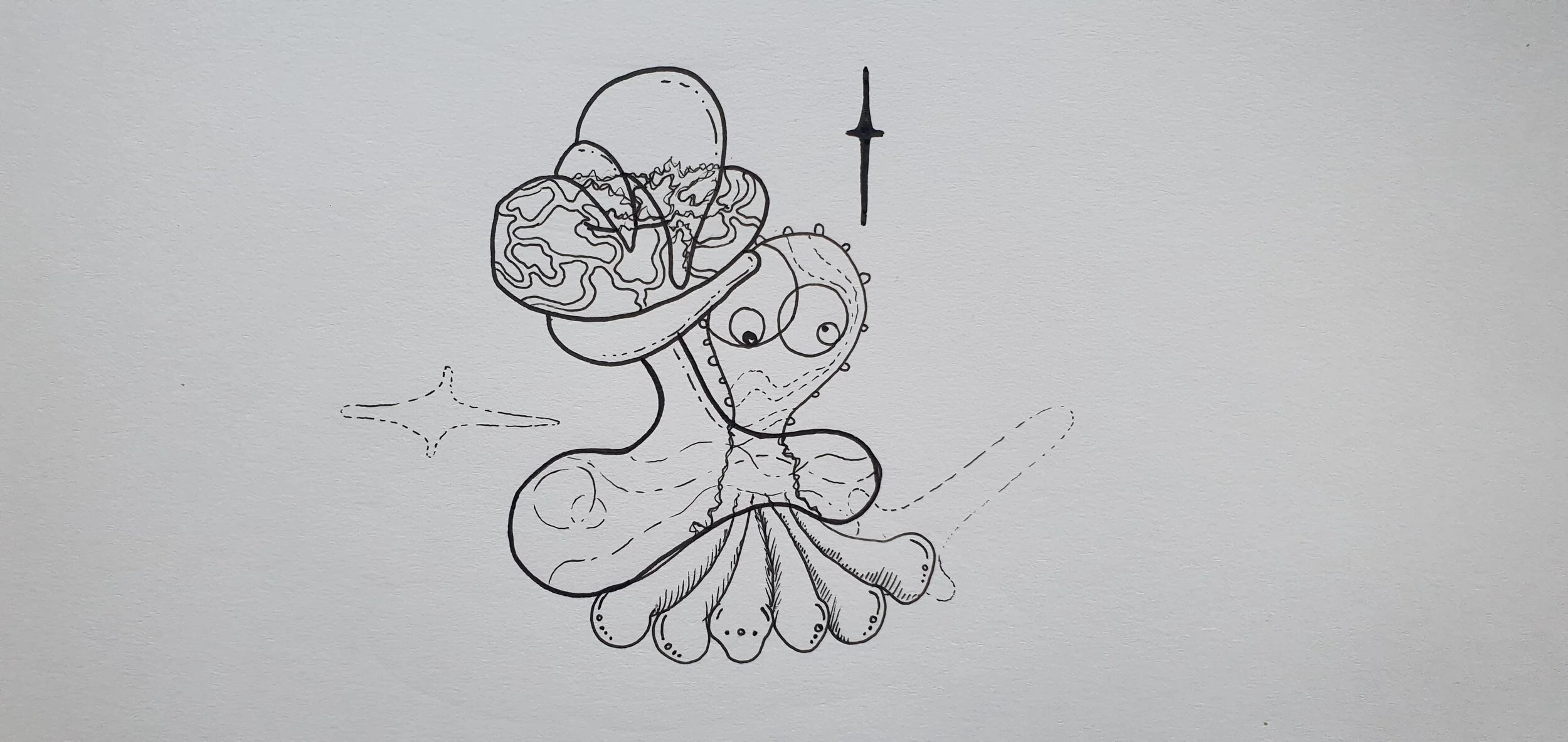 Octopus Radiowaves