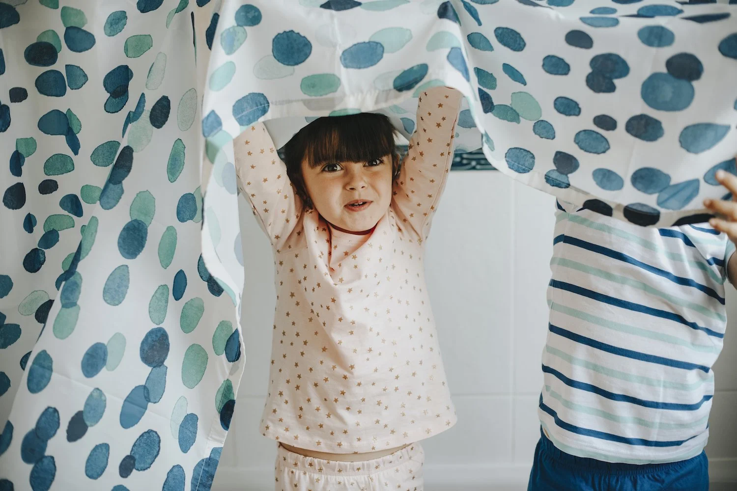 Shower Curtain or Glass Door: Pros &amp; Cons