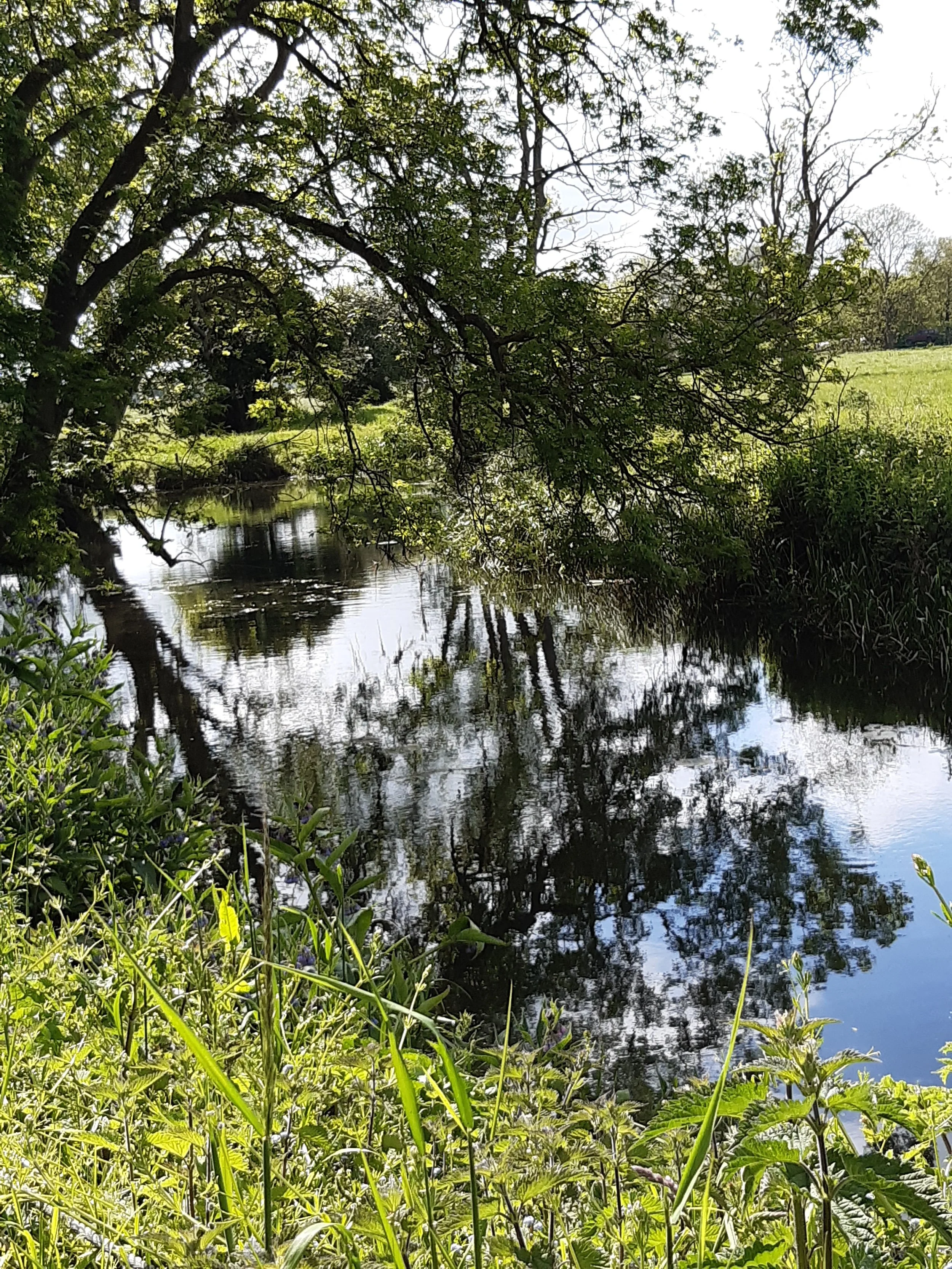 Press Refresh - online Retreat