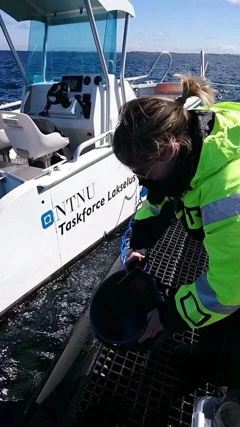 I havgapet: I arbeidet med doktorgraden var Lone Sunniva Jevne mye ute på laksemerdene på Frøya i Trøndelag. Foto: Taskforce lakselus NTNU. 